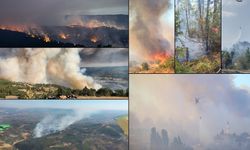 Orman yangınlarında son durum; Çanakkale, Balıkesir, Susurluk, İzmir, Elazığ, Kahramanmaraş, Mardin