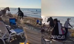 Şile plajında at paniği!