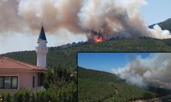 Pendik Aydos Ormanı’nda yangın çıktı, çok sayıda itfaiye ekibi sevk edildi