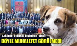 Böyle muhalefet görülmedi! “Şeklinde” olmasın “biçiminde” olsun!