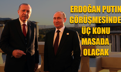 Erdoğan Putin görüşmesinde üç konu masada olacak