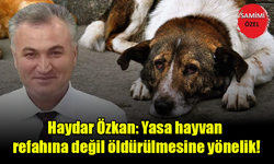 Haydar Özkan: Yasa hayvan refahına değil öldürülmesine yönelik!