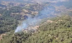 İzmir Ödemiş'te orman yangını çıktı! Müdahaleler sürüyor