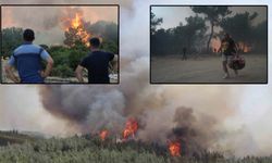 İzmir'de 20 saattir süren orman yangınları kontrol altına alındı