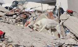 Kayıp şahsın cesedi 10 yıl sonra depremin yıktığı evin temelinde bulundu