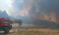 Ankara'daki yangın Bolu'ya sıçradı! Köy boşaltıldı...