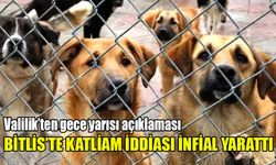 Bitlis'te 150 köpek katledildi haberleri sonrası Valilik'ten açıklama geldi