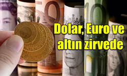 Bugün Altın ve Dolar Kaç TL Oldu? | 14 Ağustos 2024 Döviz Kuru