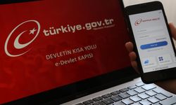 E-Devlet'te en çok neye bakıyoruz? Bakanlık açıkladı...