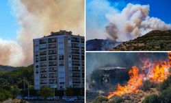 İzmir'i yangın sardı! Bakan Yumaklı'dan açıklama...