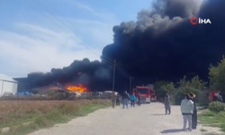 Tekirdağ'da boya fabrikasında yangın çıktı