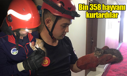 Hayvanlar için iyi şeyler de oluyor... Bin 358 hayvanı kurtardılar