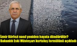 İzmir Körfezi nasıl yeniden hayata döndürülür? Bakanlık Eski Müsteşarı kurtuluş formülünü açıkladı