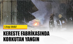 Arnavutköy'de kereste fabrikasında korkutan yangın