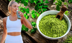 Yaşlanmayı geciktiren mucize: Moringa bitkisi