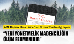 AMF Başkanı Hasan Yücel'den Orman Yönetmeliği isyanı