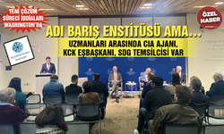 Adı Barış Enstitüsü ama… Uzmanları arasında CIA Ajanı, KCK Eşbaşkanı, SDG Temsilcisi var