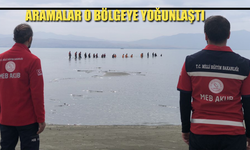 Kayıp Rojin Kabaiş 16 gündür aranıyor