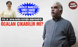 Öcalan çıkabilir mi? Prof. Dr. Serap Keskin Kiziroğlu değerlendirdi