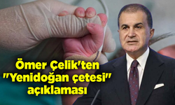 Ömer Çelik'ten "Yenidoğan çetesi" açıklaması