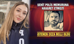 Şehit polis memuru Şeyda Yılmaz'a hakaret eden kişiye dava