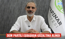 DEM Partili eşbaşkan gözaltına alındı