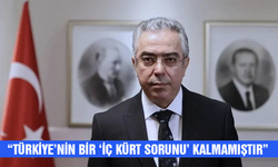 Mehmet Uçum: "Türkiye'nin bir 'iç Kürt sorunu' kalmamıştır"