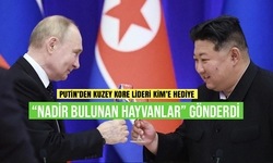 Putin’den Kim'e “nadir bulunan hayvanlar” hediyesi