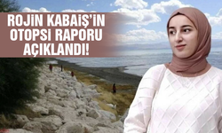 Rojin Kabaiş'in otopsi raporu açıklandı!