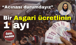 Bir Asgari ücretlinin bir ayı: "Acınası durumdayız"