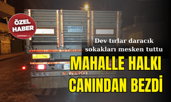 Mahalle halkı canından bezdi... Dev tırlar daracık sokakları mesken tuttu