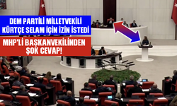 TBMM’de “Kürtçe selamlama” izni