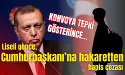 Konvoya tepki gösterince... Liseliye, Cumhurbaşkanı'na hakaretten hapis cezası!