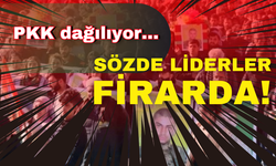 PKK dağılıyor... Sözde liderler firarda!