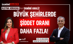 Büyük şehirlerde şiddet oranı daha fazla!