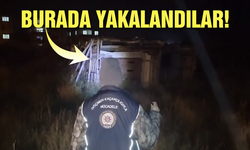 Kalkan operasyonlarında 42 göçmen kaçakçısı yakalandı