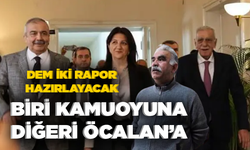 Biri kamuoyuna, diğeri Öcalan’a... DEM iki rapor hazırlayacak