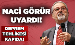 Prof. Dr. Naci Görür: Yedisu Fayı'nda deprem kapıda!