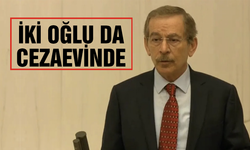 Abdüllatif Şener'in oğlu Şamil Şener “Cumhurbaşkanına hakaret” suçundan tutuklandı