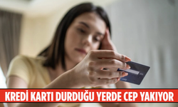 Kredi kartı durduğu yerde cep yakıyor