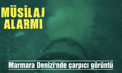 Müsilaj alarmı! Marmara Denizi'nde çarpıcı görüntü