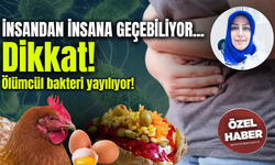 Dikkat! Ölümcül bakteri yayılıyor! İnsandan insana geçebiliyor