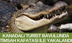 Bavulunda timsah kafatası ile yakalandı!