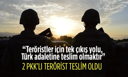 2 PKK’lı terörist teslim oldu