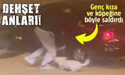 Dehşet anları kamerada! Genç kıza ve köpeğine saldırdı