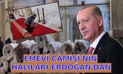 Emevi Camisi'nin halıları Erdoğan'dan