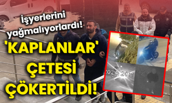 Tehditle haraç aldılar! 'Kaplanlar' çetesi çökertildi