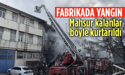 İstanbul’da fabrikada yangın! Çok sayıda itfaiye ekibi sevk edildi