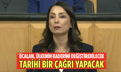 İmralı’dan çağrı ne zaman yapılacak? DEM Parti'den açıklama