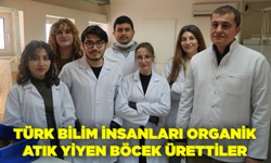 Türk bilim insanları organik atık yiyen böcek ürettiler